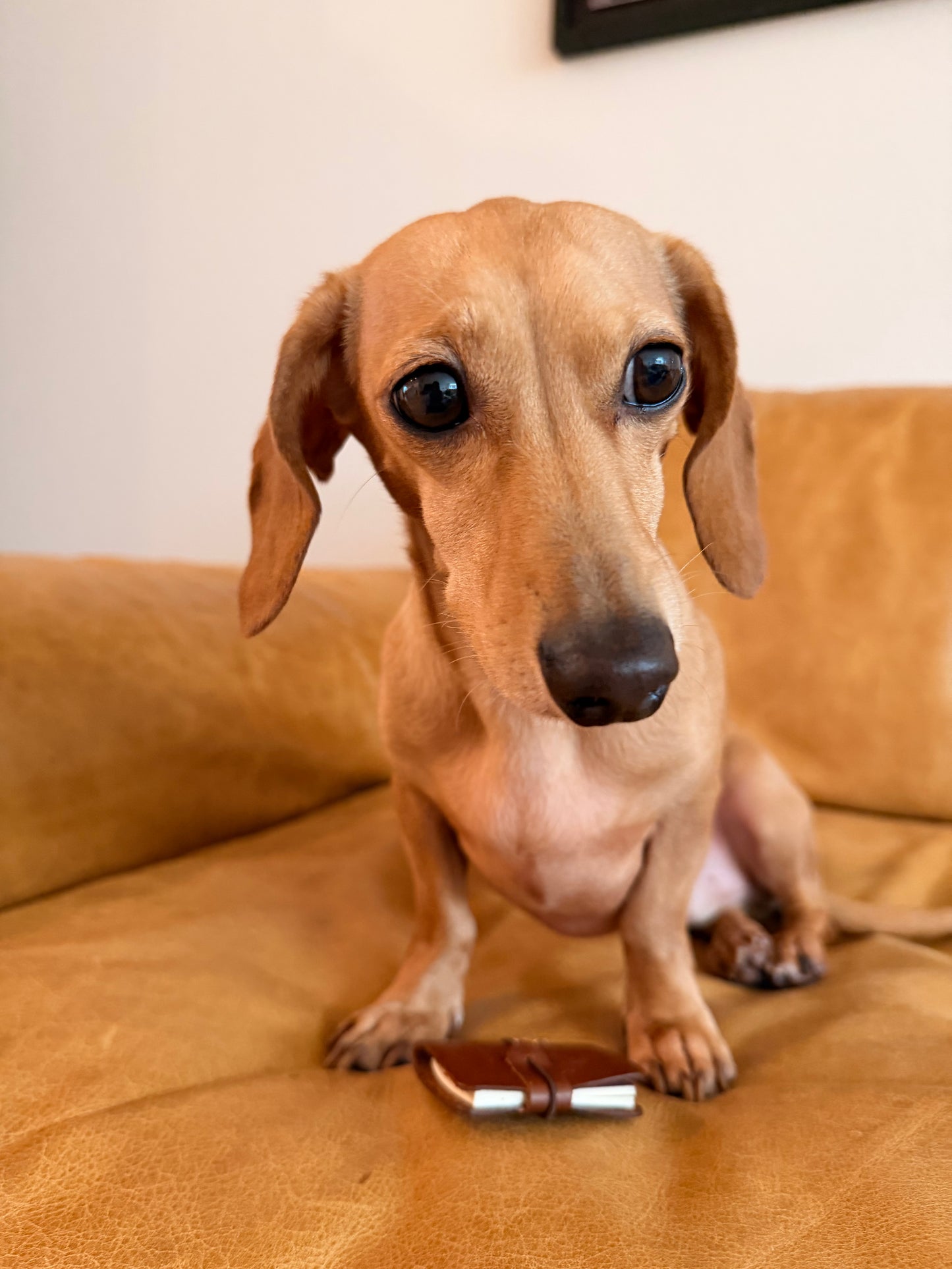 bumi's micro notebook